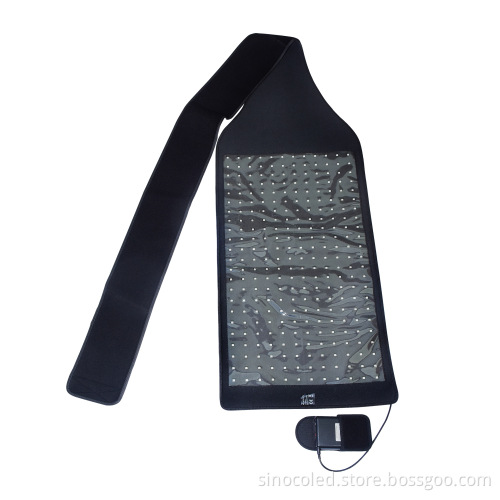 Red Light Therapy Veterinary Instruments for Equine and Canine Care
